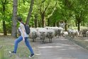 2019-04-18 15-46-36 Parc de la Courneuve DLe